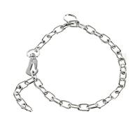 Collier pour Chien Hs Sprenger Argenté 3 mm Maillons Court (45 cm)