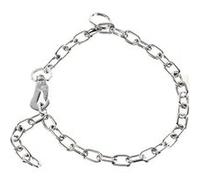 Collier pour Chien Hs Sprenger Argenté 3 mm Maillons Court 50 cm Argent