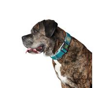 Collier pour Chien Hunter Plus Fil turquoise Turquoise Taille XL (45-70 cm)