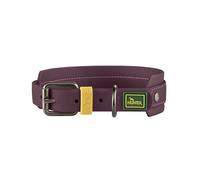 Collier pour Chien Hunter Violet