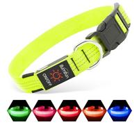 Collier pour chien Illumifun rechargeable par USB avec LED, collier lumineux réfléchissant pour chien, collier pour chien avec éclairage pour la marche nocturne (VertⅢ, Grand)