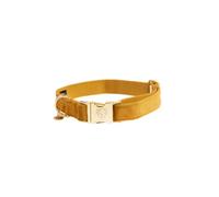 Collier pour chien Kentucky Velvet Jaune XL