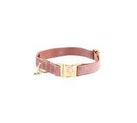 Collier pour chien Kentucky Velvet - old rose - 25/38 cm