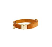 Collier pour chien Kentucky Velvet Orange L