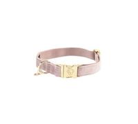Collier pour chien Kentucky Velvet - soft rose - 25/38 cm