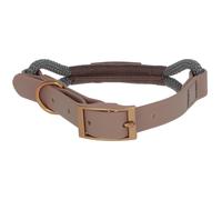 Collier pour chien Kerbl Monte Carlo Gris 45x65 cm