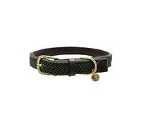 Collier pour Chien - L - Nylon - Vert Olive