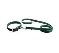 Collier pour Chien Laisse de Collier Chien PVC 2 pièces Plomb à Double tête Multicolore Plusieurs Tailles(Dark Green,S Neck 16-28cm)