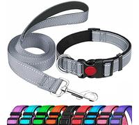 Collier pour Chien, Laisse pour Chien avec poignée rembourrée, Laisse réfléchissante en Nylon pour Le Dressage, Laisse de Marche pour Chiens de Taille Moyenne