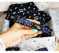 Collier pour Chien Léopard Bleu Roi XS