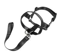 Collier pour chien, licol rembourré pour arrêter de tirer pour chiens de petite, moyenne et grande taille, taille M