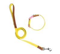 Collier pour chien - Longue corde - Solide - Pour l'entraînement, la marche, la natation, la randonnée - Pour petits chiens