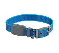 Collier pour chien lumineux rechargeable