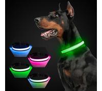 Collier pour chien lumineux, rechargeable par USB-C, réfléchissant, phosphorescent, avec 7 modes d'éclairage pour la sécurité de nuit, gris, taille S