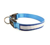 Collier pour Chien Lumineux Rechargeable USB | Etanche | LED Clignotant | Ajustable | Sécurité | Biscay Home (S (28-40cm), Bleu)