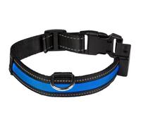 Collier pour chien lumineux rechargeable USB Eyenimal Bleu M