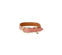 Collier pour Chien - M - Cuir - Pêche