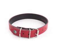Collier pour chien Martin Sellier Allure Rouge 40 cm