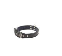 Collier pour chien Martin Sellier Class Noir L