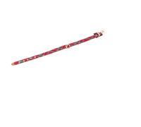 Collier pour chien Martin Sellier Ecos Rouge 30 cm