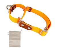 Collier pour Chien Martingale, Anti-Traction, en Poly-Coton et Cuir. M. Orange & Cognac