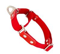 Collier pour Chien Martingale, Anti-Traction, en Poly-Coton et Cuir. M. Rouge & Rouge