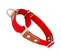 Collier pour Chien Martingale, Anti-Traction, en Poly-Coton et Cuir. XS. Rouge & Cognac
