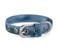 Collier pour chien mignon pour chiot, famille de loutre de mer, collier pour chiens de taille moyenne et petite, collier souple pour chat avec boucle réglable de 20 à 26 cm