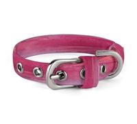 Collier pour chien mignon pour chiot, un palmier tropical, collier pour chiens de taille moyenne et petite, collier souple pour chat avec boucle réglable de 20 à 26 cm