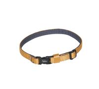 Collier pour chien mini Nobby Pet Classic Preno Orange 35 cm x 10 mm