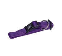 Collier pour chien Nobby Pet Classic Preno Violet 55 cm