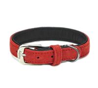 Collier pour chien Nobby Pet Velours Rouge 60 cm x 32 mm