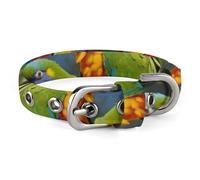 Collier pour chien, perroquet imprimé peinture d'oiseau, collier réglable pour animaux de compagnie adapté aux chiens de petite et moyenne taille, chats