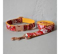 Collier pour Chien personnalisé avec nœud Papillon et Laisse pour Animaux de Compagnie, Collier d'halloween avec nœud Papillon pour Chiens de Petite et Moyenne Taille - Ensemble Collier et Laisse pou