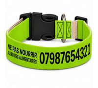 Collier pour Chien personnalisé avec Texte au Choix, nom, téléphone, adresse ou Message d’Alerte, Couleur du Texte au Choix (Vert Clair, M Large : 43-62 cm Tour de Cou)