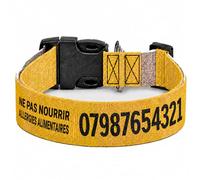 Collier pour Chien personnalisé avec Texte au Choix, nom, téléphone, adresse ou Message d’Alerte, Couleur du Texte au Choix (Jaune, L Large : 46-71 cm Tour de Cou)