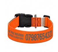 Collier pour Chien personnalisé avec Texte au Choix, nom, téléphone, adresse ou Message d’Alerte, Couleur du Texte au Choix (Orange, L Large : 46-71 cm Tour de Cou)