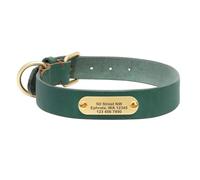 Collier pour Chien personnalisé Colliers pour Chien personnalisés durables Colliers en Cuir véritable gravés pour Chiens de Petite, Moyenne et Grande Taille(Green 2,S)