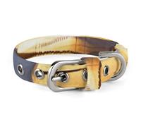 Collier pour chien personnalisé et sûr en forme d'avion dans la lumière du soir - Collier réglable pour chiens et chats de taille moyenne et petite