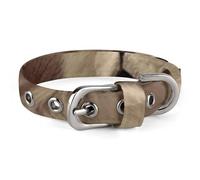 Collier pour chien personnalisé et sûr - Lion africain et lionne - Collier réglable pour chiens et chats de taille moyenne et petite