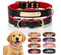 Collier pour Chien Personnalisé, Gravé avec Nom et Numéro de Téléphone | Réglable, Convient aux Petits, Moyens et Grands Chiens, Doublure Douce pour Dressage et Promenade