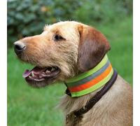 Collier pour chien réfléchissant AKAH 50 cm