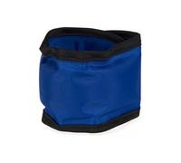 Collier pour Chien Réfrigérant Bleu