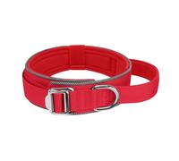 Collier pour chien réglable en nylon avec doublure intérieure douce réfléchissante pour augmenter la sécurité nocturne, collier réfléchissant pour chien avec rembourrage