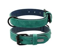 Collier pour chien - Rembourré doux pour chien Pitbull Labrador Berger allemand (Vert, M)