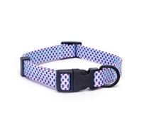 Collier pour Chien : résistant, réglable, Facile à Nettoyer, idéal pour Les promenades, l'entraînement et la sécurité en extérieur.