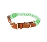 Collier pour chien robuste en coton tissé offrant un confort pour les petits chiens, idéal pour la promenade en plein air, le dressage quotidien