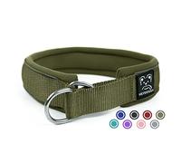 Collier pour Chien Semi Étrangleur, Résistant Nylon Collier de Dressage avec Souple Rembourré & Fils Très Réfléchissants, Sécurité Anti-Traction Collier Éducative pour Chiot Petits Moyens Grands
