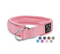 Collier pour Chien Semi Étrangleur, Résistant Nylon Collier de Dressage avec Souple Rembourré & Fils Très Réfléchissants, Sécurité Anti-Traction Collier Éducative pour Chiot Petits Moyens Grands