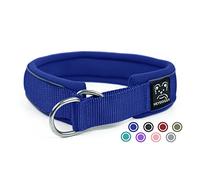 Collier pour Chien Semi Étrangleur, Résistant Nylon Collier de Dressage avec Souple Rembourré & Fils Très Réfléchissants, Sécurité Anti-Traction Collier Éducative pour Chiot Petits Moyens Grands
